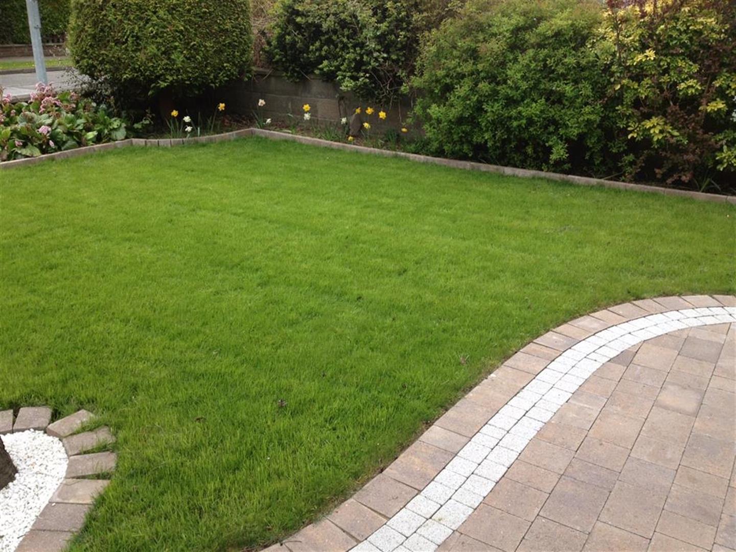 Lawn Replacements Cork